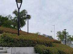-羊山湖公园