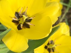 -长春公园(普阳街道)