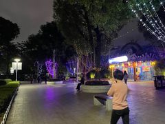-金砂公园