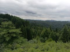 -山王坪喀斯特国家生态公园