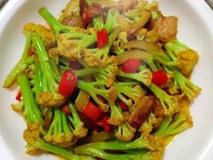 -优护优家Ucare月嫂育儿嫂陪伴师(静安店)