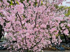 -莲花国际广场