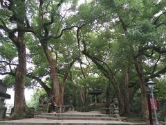 -蒋氏故居