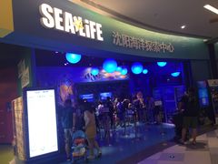 -沈阳海洋探索中心