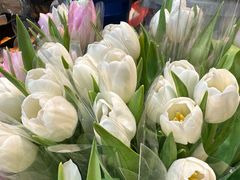 -循礼门鲜花花市(武汉循礼门店)