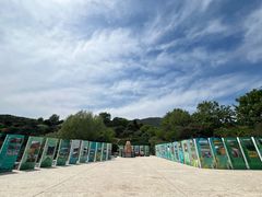 -北京西山国家森林公园