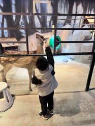 -酷嗒动物文化乐园(cutezoo西溪乐天城店)