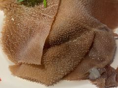 八秒毛肚片-季季红火锅(长沙步行街店)