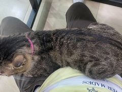 -玉椰林甜品店(创始店)