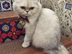 -广州迷途主题旅馆(海珠广场店)