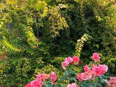 -国家植物园南园