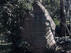 -上海吴淞炮台湾国家湿地公园