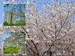 -白塘生态植物园