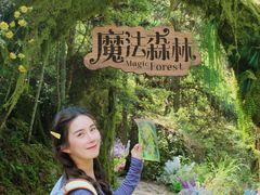 -龙湾潭国家森林公园