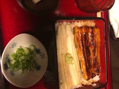 -料亭菊水楼