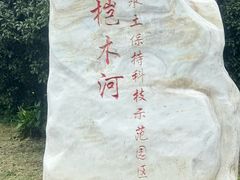 -桤木河湿地公园