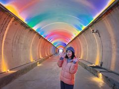 -武陵山森林公园