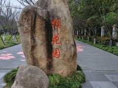 -高东镇樱花园