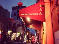 -食为先(Shark Fin)