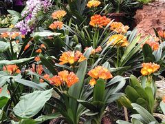 -北京植物园-展览温室