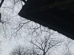 -北京国子监胡同