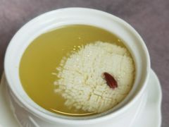 -丁老爷子苏香圆