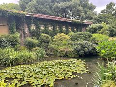 -中国茶叶博物馆(双峰馆区)