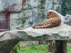 -广州动物园
