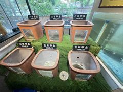 -王捌小院(红花坡店)