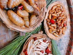 -昆虫窝子·特色云南菜(拓东路总店)