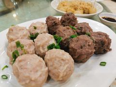 牛肉丸-禄源公·老莞诚饭店