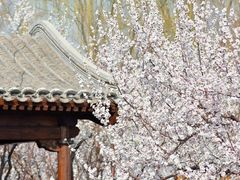 -三里河公园