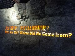 -国家自然博物馆