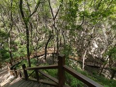 -大岭沟猕猴桃谷风景区