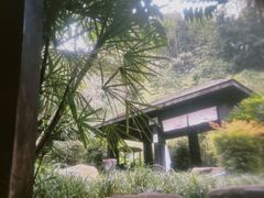 -融汇温泉