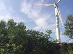 -汕尾风车岛