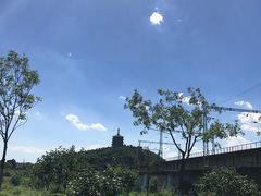 -永定河休闲森林公园