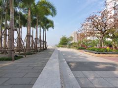 -海沧湾公园