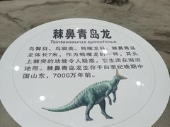 -吉林省自然博物馆