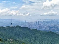 -梧桐山风景名胜区