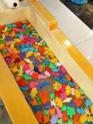 -汤姆小鸟(无锡宝龙广场店)