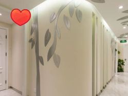 -健身堂科技美肌SPA