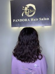-潘多拉Hairsalon