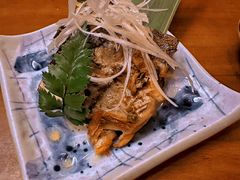 -鸟泉居酒屋·烧鸟·酒馆(百子湾店)