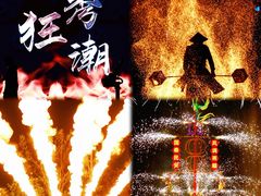 -海合安武汉极地海洋公园