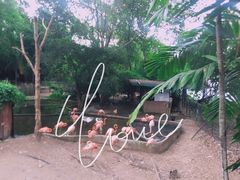 -清迈夜间动物园