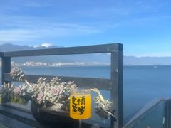 -野菌皇海景野生菌火锅(滨海大道店)