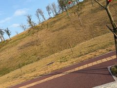 -江山半岛白浪滩景区