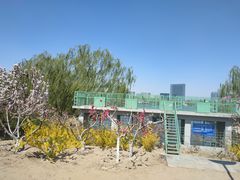 -大兴滨河森林公园