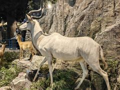 -陕西自然博物馆